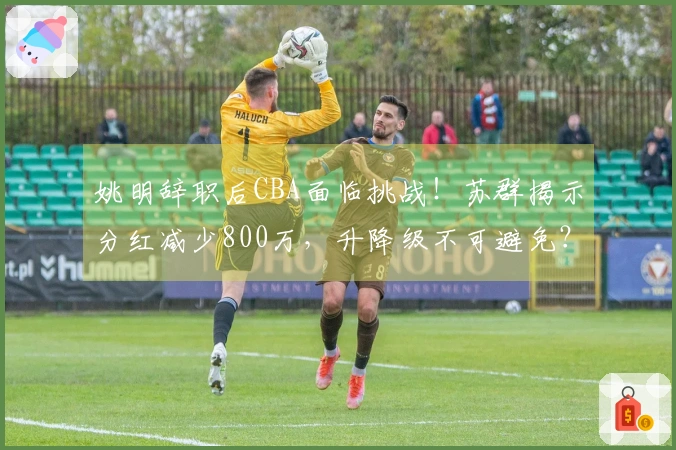 姚明辞职后CBA面临挑战！苏群揭示分红减少800万，升降级不可避免？