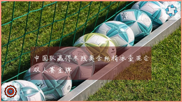 中国队赢得冬残奥会轮椅冰壶混合双人赛金牌