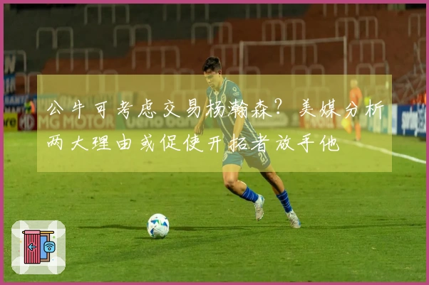 公牛可考虑交易杨瀚森？美媒分析两大理由或促使开拓者放手他