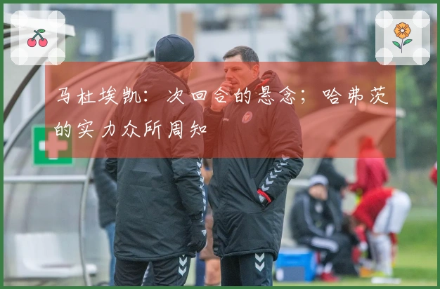 马杜埃凯：次回合的悬念；哈弗茨的实力众所周知